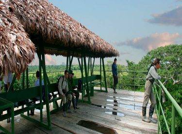 Ecologico: Cocha Perdida 3D/2N