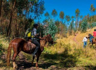 Tour a Caballo en Cusco – Sacsayhuaman 1/2D