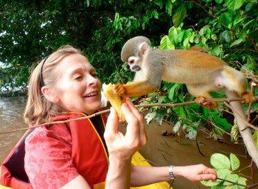 Ecoselva Isla Monkey 2D/1N